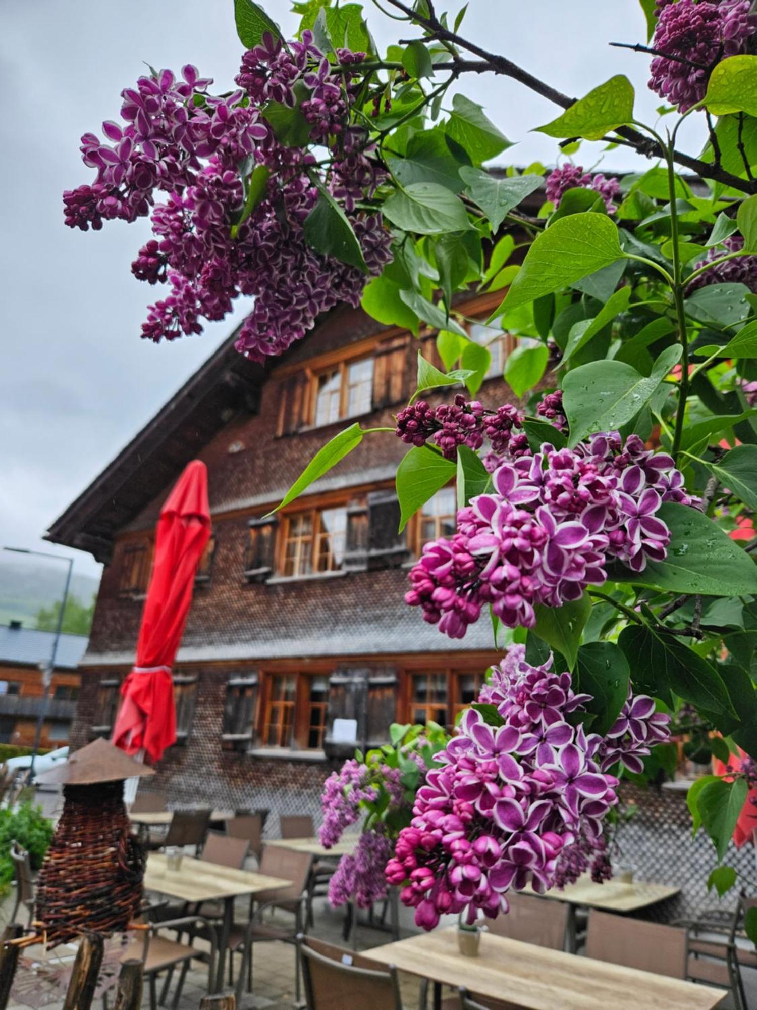 Naze'S Hus Mellau Hotell Eksteriør bilde